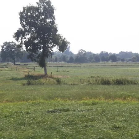 Ferien Ellis Ferienhaus