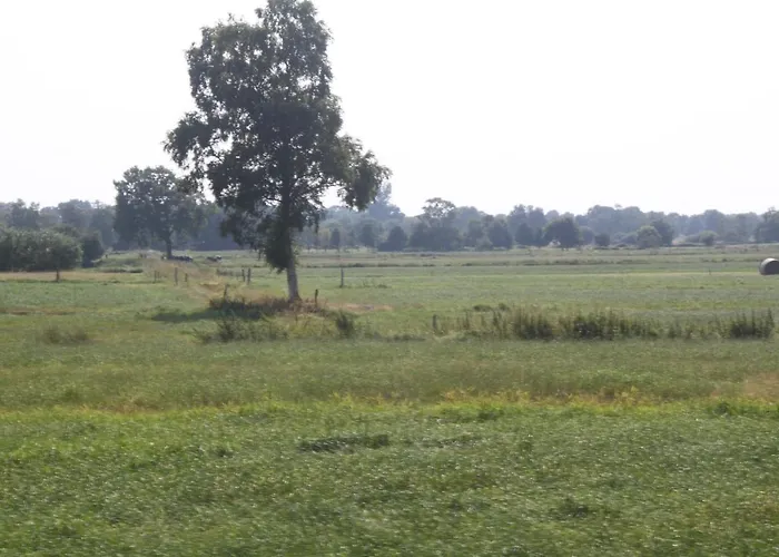 Ferien Ellis Nyaraló